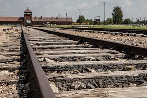 Voies ferrées vers la porte d'Auswitz-Birkenau