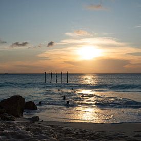 Sunset by the sea in Aruba