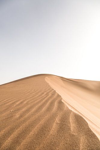 Dune de sable Maroc