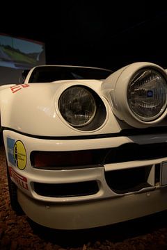 The Beast of Group B by JD Photography