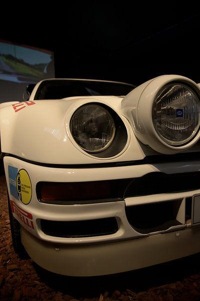 The Beast of Group B by JD Photography