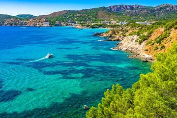 Island scenery of Mallorca, coastline of Peguera, Mediterranean Sea Spain by Alex Winter