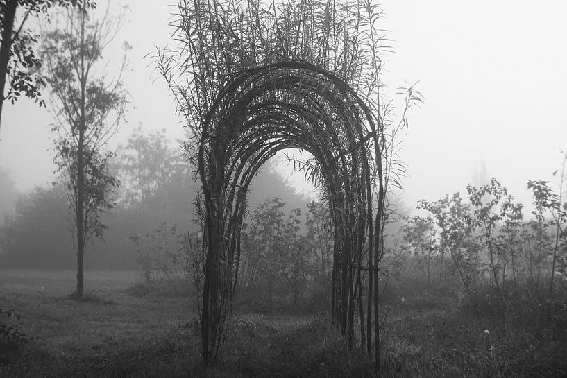 Speeltunnel par Jeroen de Lang