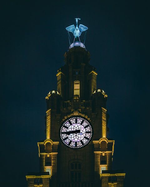 Liverpool by Hello Pompoyo
