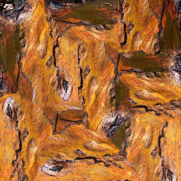 Bark (3) by Jeroen van der Meij