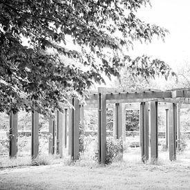 Jardin de roses à Malpertuis, Maastricht sur Streets of Maastricht
