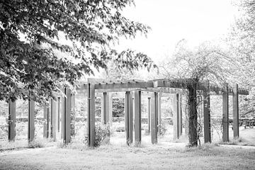 Rosengarten in Malpertuis, Maastricht