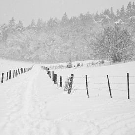 Bospad winter van Tess Smethurst-Oostvogel