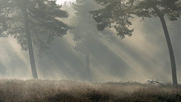 Prachtig sfeer landschap van Jan Linskens