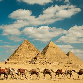 Camels and Pyramids by Aydin Adnan
