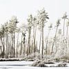 WITTE WERELD van Petra Terpstra