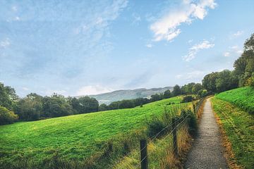 Great Glen in de Schotse Hooglanden bij het beroemde Loch Ness. Prachtige natuur in de Highlands. van Jakob Baranowski - Photography - Video - Photoshop