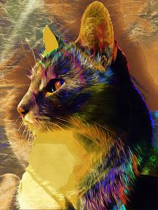 Katze Geistführer