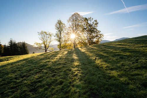 Ochtendsfeer bij zonsopgang met uitzicht op de Hochgrat en de Allgäuer Alpen