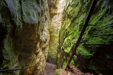 Felsenland in de Zuid-Eifel, Rijnland-Palts, Duitsland van Alexander Ludwig