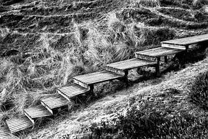 Sylt: Auf dem Holzweg