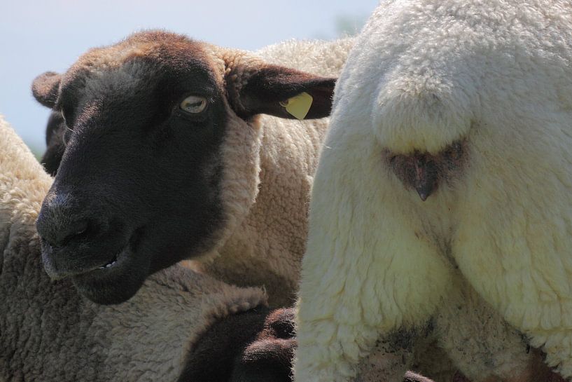 Hinten und Vorne by Rolf Pötsch