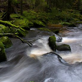 bereiken van Glen Sweeney