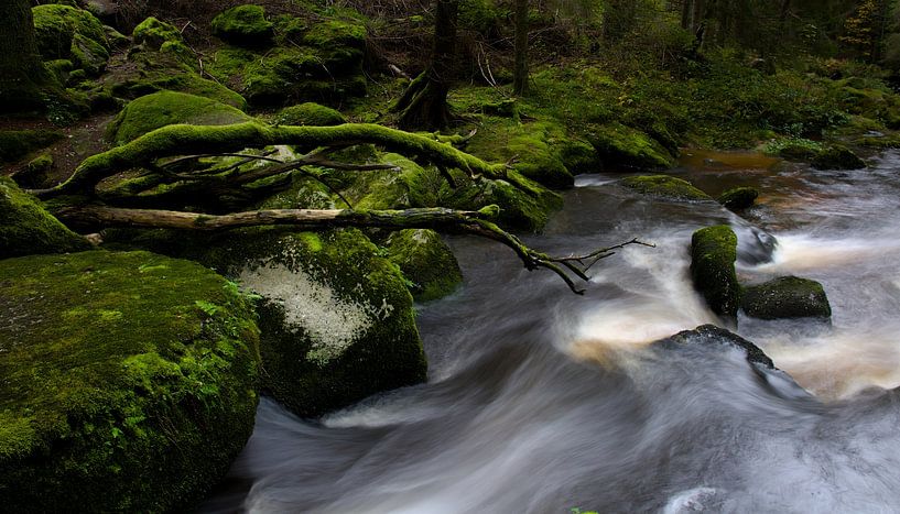 Atteindre par Glen Sweeney