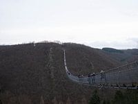 nature et pont suspendu