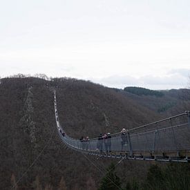Natur- und Hängebrücke von Ivanovic Arndts