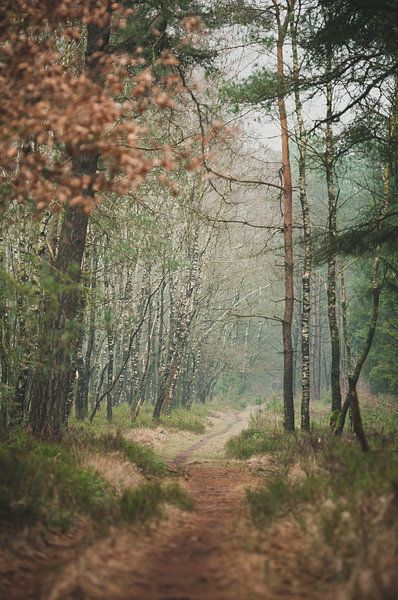 Autumn Shelves Gambeson by Nancy van Verseveld