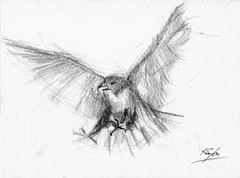 Eagle