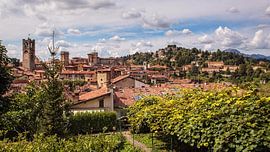 Bergamo