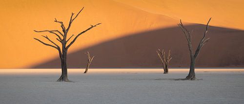 Deadvlei IV