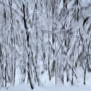 Échantillon de branches couvertes de neige sur Oliver Lahrem