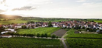 Panorama Ungstein met belettering (Bad Dürkheim an der Weinstraße) van Fabian Bracht