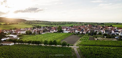 Panorama Ungstein met belettering (Bad Dürkheim an der Weinstraße)
