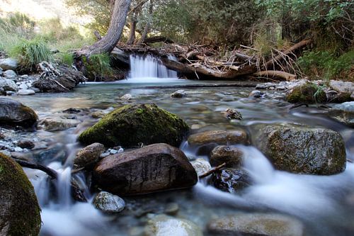 Rio Dilar