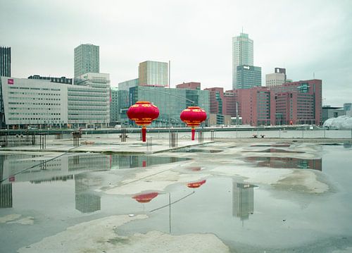 Riesige chinesische Laternen mitten in Rotterdam