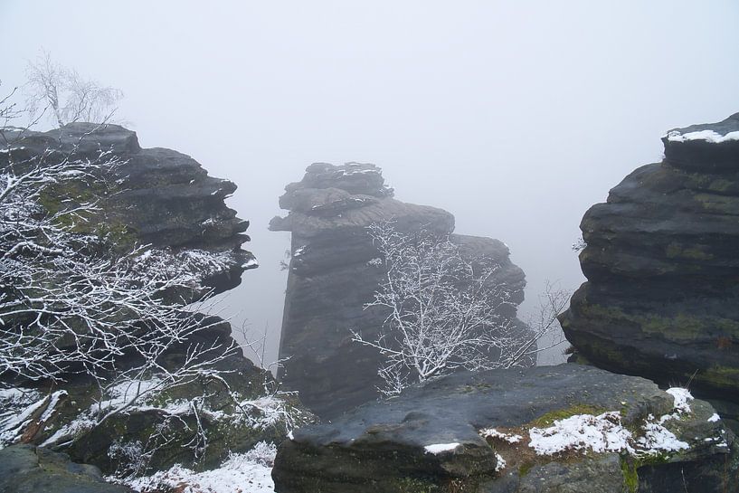 Zschirnstein met besneeuwde rotsen en mist op de top van Martin Köbsch