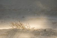 Sand and sunshine