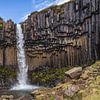 Svartifoss sur Franksfotoforum