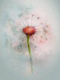 Dromerige uitgebloeide paardenbloem van Studio Pieternel