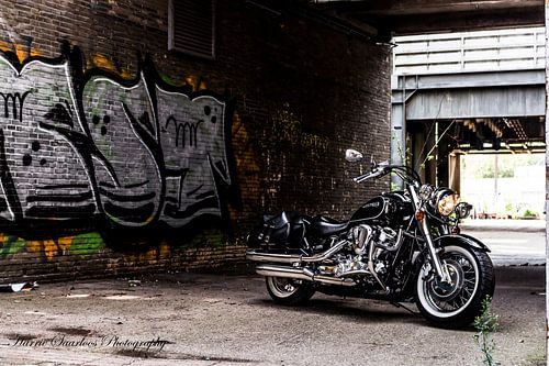Yamaha XV 1600 Wildstar