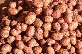 Kartoffeln von Richard Wareham