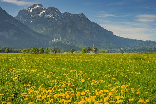 de Allgäu in het voorjaar