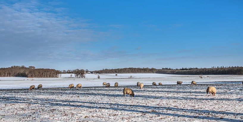 Winter landscape in Gaasterland winter 2021 by Harrie Muis