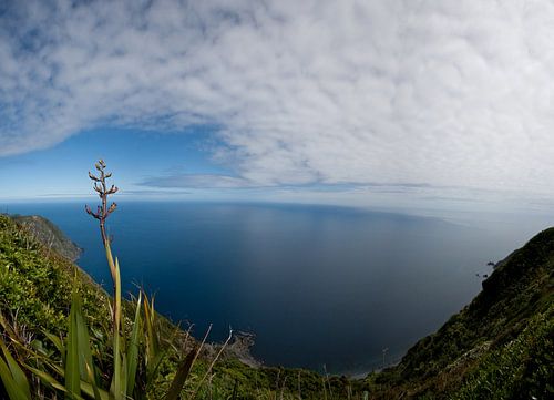 Uitzicht over de zee