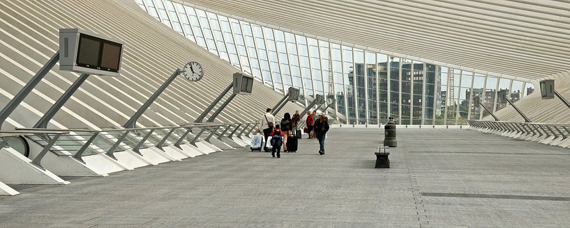 Station GUILLEMINS Luik par M  van den Hoven