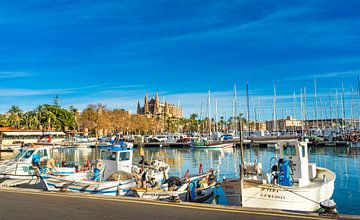 Vissershaven van Palma de Majorca, Spanje van Alex Winter