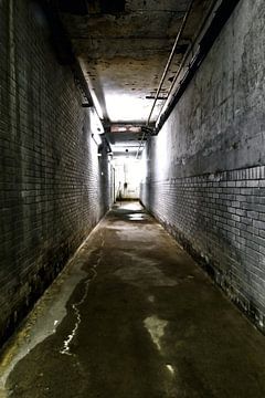 Photo in the basement of an old dairy. by Therese Brals