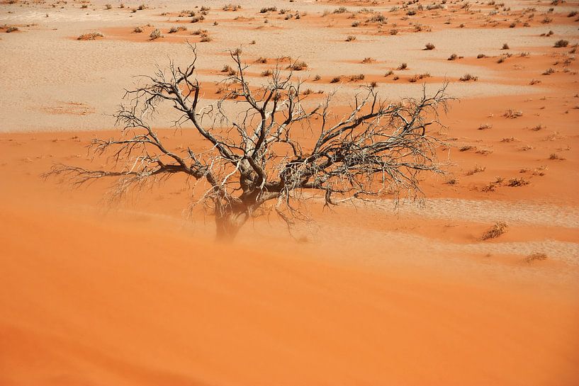 NAMIBIA ... Namib Desert Sandstorm van Meleah Fotografie