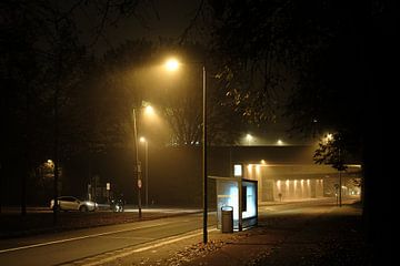 Licht in stilte van Rik Moors