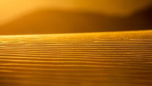 Dune de sable au soleil du soir sur VIDEOMUNDUM