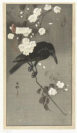 Crow with cherry blossom, Ohara Koson, 1900 - 1930